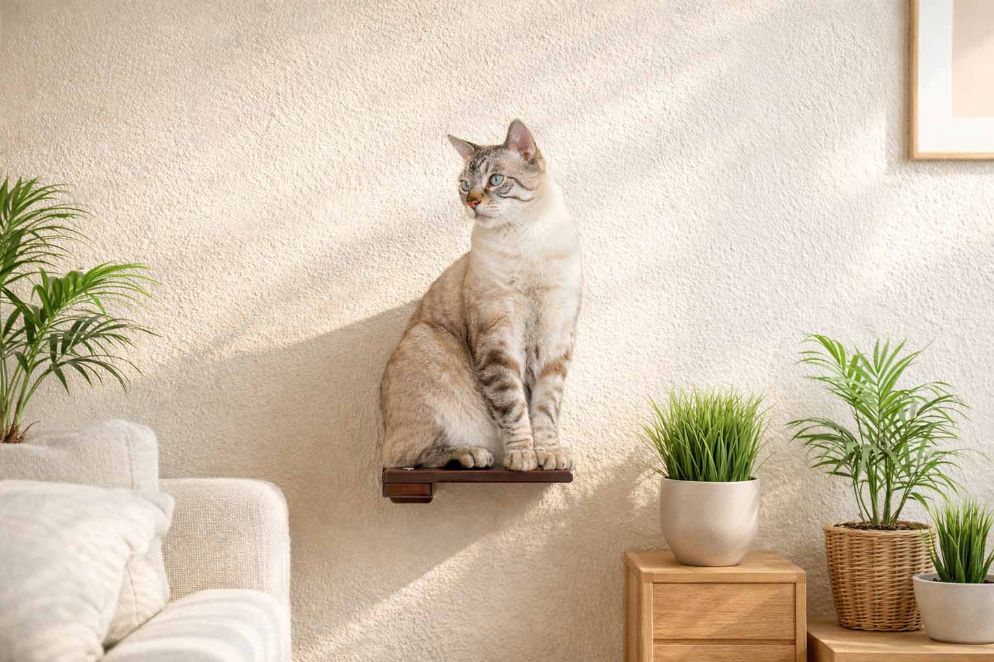 Cat Climbing Shelf Cat shelves/bed Catastrophic Creations