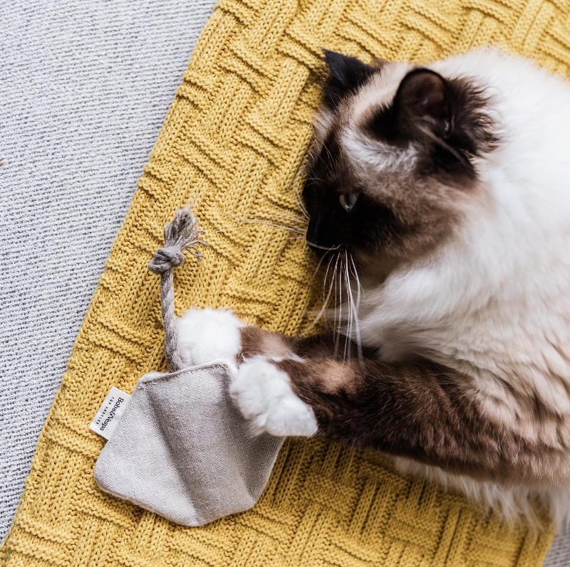 Boba & Vespa Stingray Cat Toy in Cotton with Buckwheat for Crinkles and Organic Catnip Cat Kickers The Kind Pet
