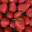 Strawberry Flavored Yak Cheese Chew - made with REAL STRAWBERRY Puree - Single Yak Chew Chief’s Treats and Pet Supplies
