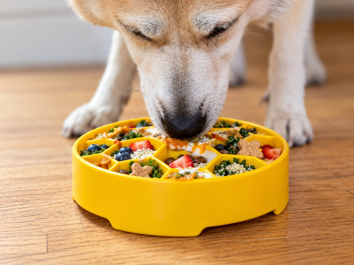 Honeycomb eBowl Deep Slow Feeder Dog Bowl for Enrichment | USA Made EBOWL SodaPup/True Dogs, LLC