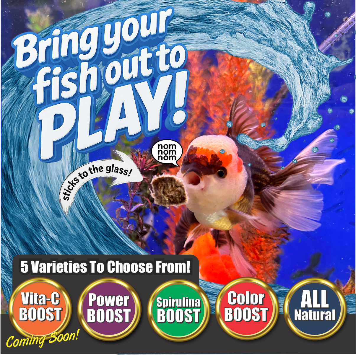 Premium Freeze Dried Blackworms - Color Boost Fish Food Super Cichlids