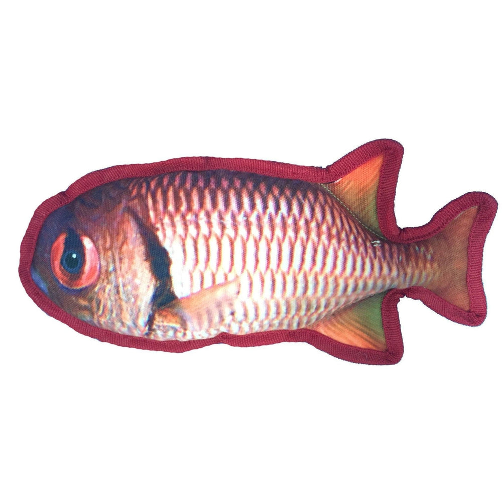 Tropical Fish Toys 11" Tropical Snapper Dog Toys Dogline
