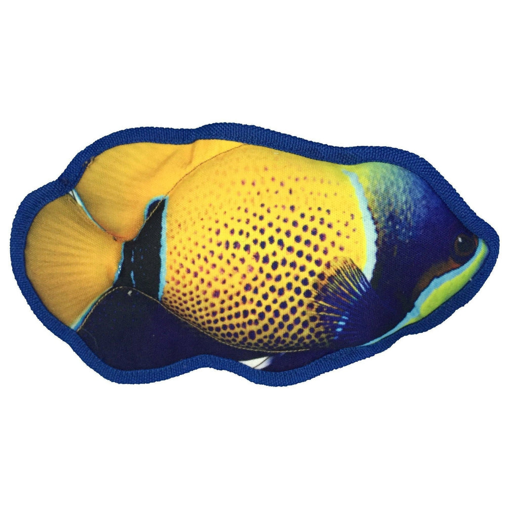Tropical Fish Toys 10" Tropical Damselfish Dog Toys Dogline