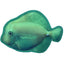 Tropical Fish Toys 11" Tropical Surgeonfish Dog Toys Dogline