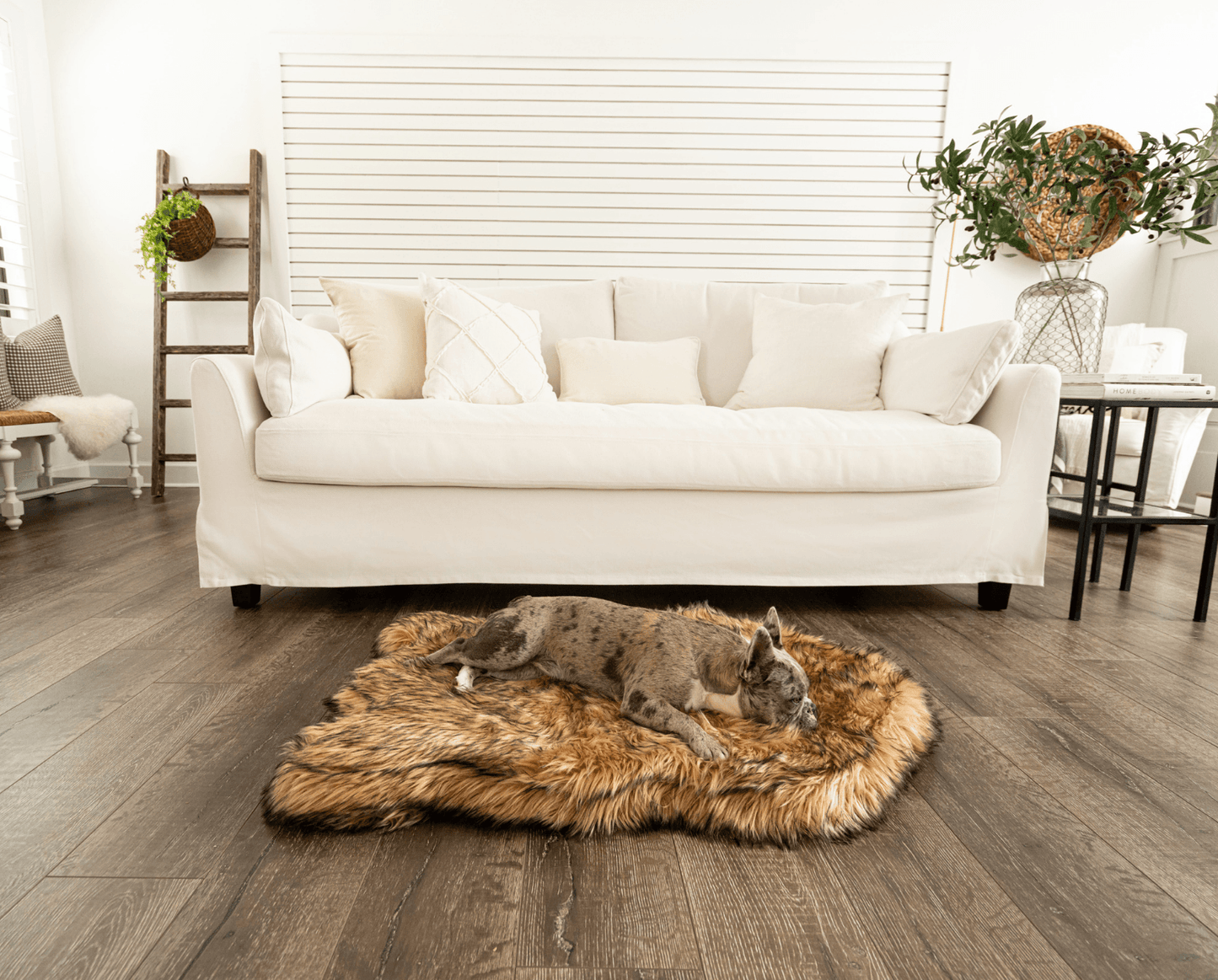 PupRug by Paw.com® Faux Fur Orthopedic Dog Bed - Curve Sable Tan Dog Beds Paw