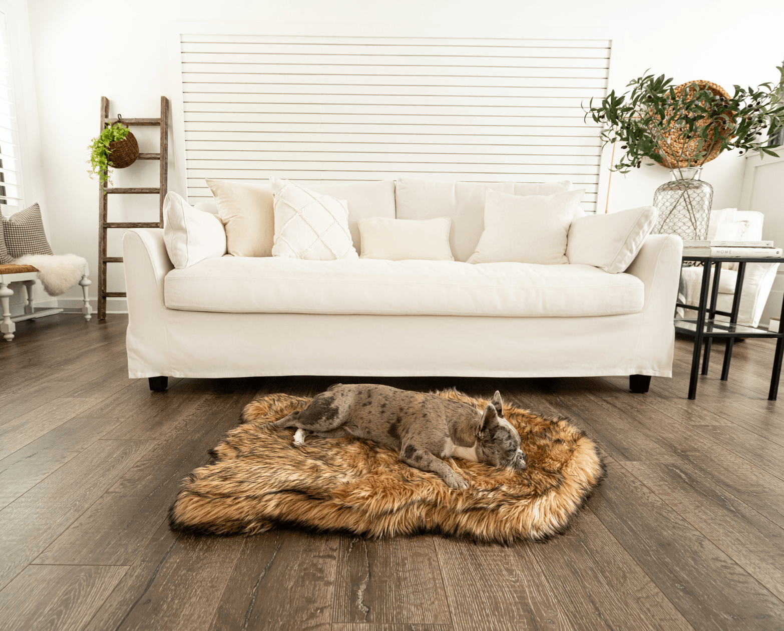 PupRug by Paw.com® Faux Fur Orthopedic Dog Bed - Curve Sable Tan Dog Beds Paw