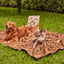 PupProtector™ Summer Short Fur Waterproof Throw Blanket - Sable Tan Dog Blanket Paw.com
