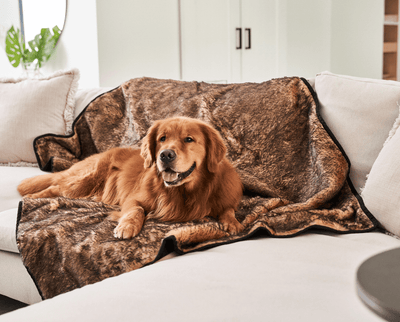 PupProtector™ Summer Short Fur Waterproof Throw Blanket - Sable Tan Original (60"L x 50"W) Dog Blanket Paw.com