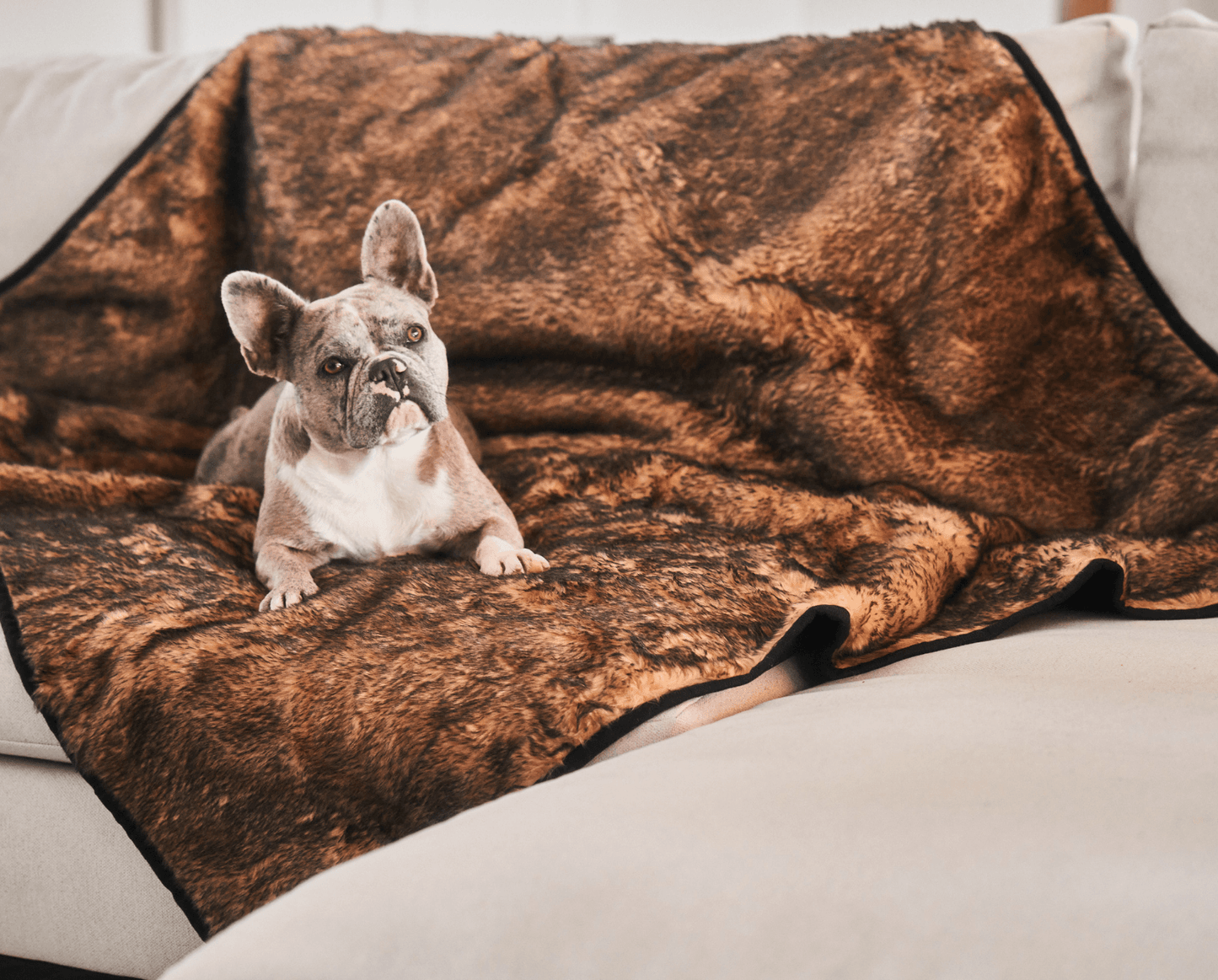 PupProtector™ Summer Short Fur Waterproof Throw Blanket - Sable Tan Dog Blanket Paw.com