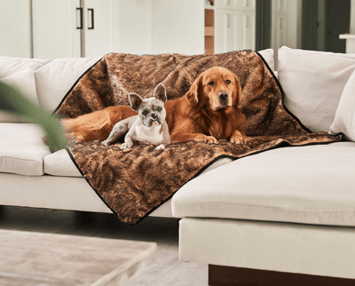PupProtector™ Summer Short Fur Waterproof Throw Blanket - Sable Tan Dog Blanket Paw.com