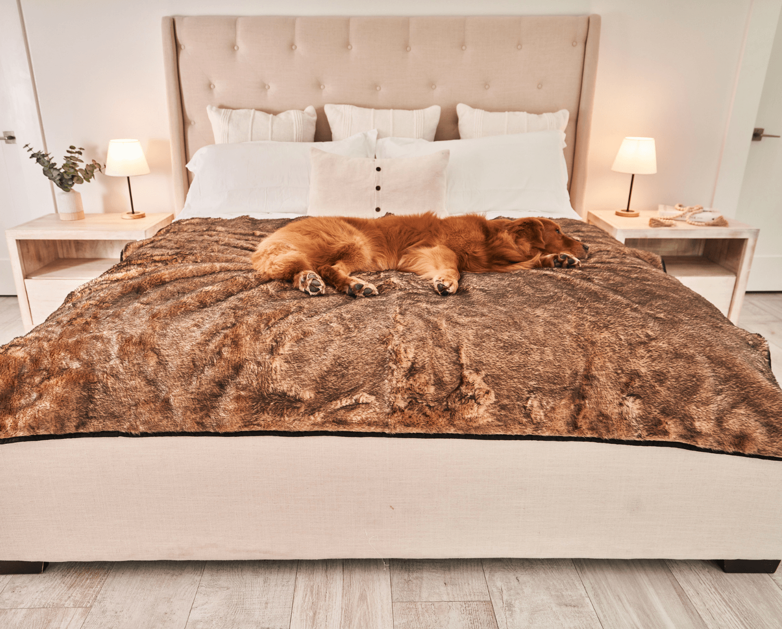 PupProtector™ Summer Short Fur Waterproof Throw Blanket - Sable Tan Large (80"L X 62"W) Dog Blanket Paw.com