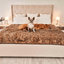 PupProtector™ Summer Short Fur Waterproof Throw Blanket - Sable Tan Dog Blanket Paw.com