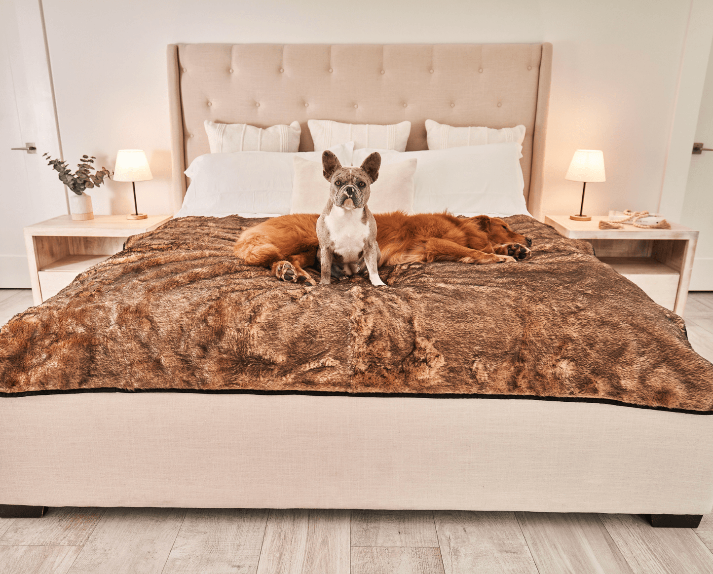 PupProtector™ Summer Short Fur Waterproof Throw Blanket - Sable Tan Dog Blanket Paw.com