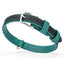 Soft Leather Dual-Color Flat Dog Collar Teal 5 8" Dog Collars Dogline