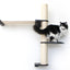 The Crow's Nest - A Wall Cat Scratcher with Hammock Cat Condo Catastrophic Creations