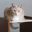 The Overlook - Sturdy - Bamboo Cat Tree Cat Condo Catastrophic Creations
