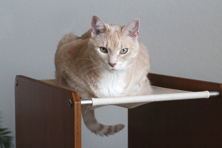 The Overlook - Sturdy - Bamboo Cat Tree Cat Condo Catastrophic Creations