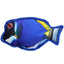 Tropical Fish Toys 10" Tropical Blue Tang Dog Toys Dogline