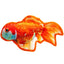 Tropical Fish Toys 12" Tropical Goldfish Dog Toys Dogline
