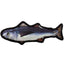 Tropical Fish Toys 12" Tropical Trout Dog Toys Dogline