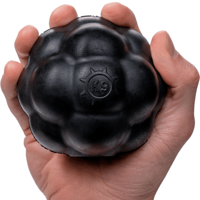 Rumble Ball Monster K9 Dog Toys