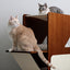 The Overlook - Sturdy - Bamboo Cat Tree Cat Condo Catastrophic Creations