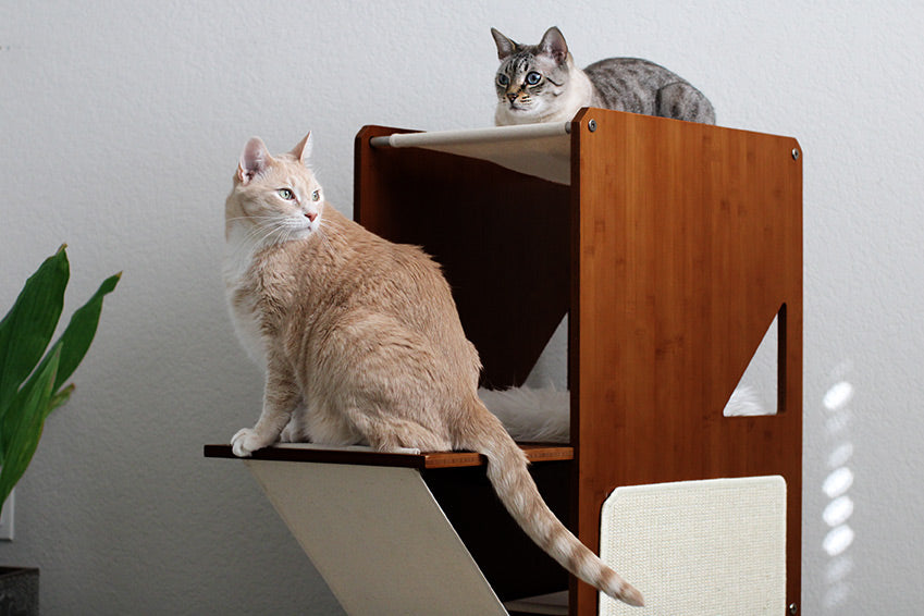 The Overlook - Sturdy - Bamboo Cat Tree Cat Condo Catastrophic Creations