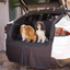 PupProtector™ Cargo Cover Liner for SUVs and Cars Travel Paw.com