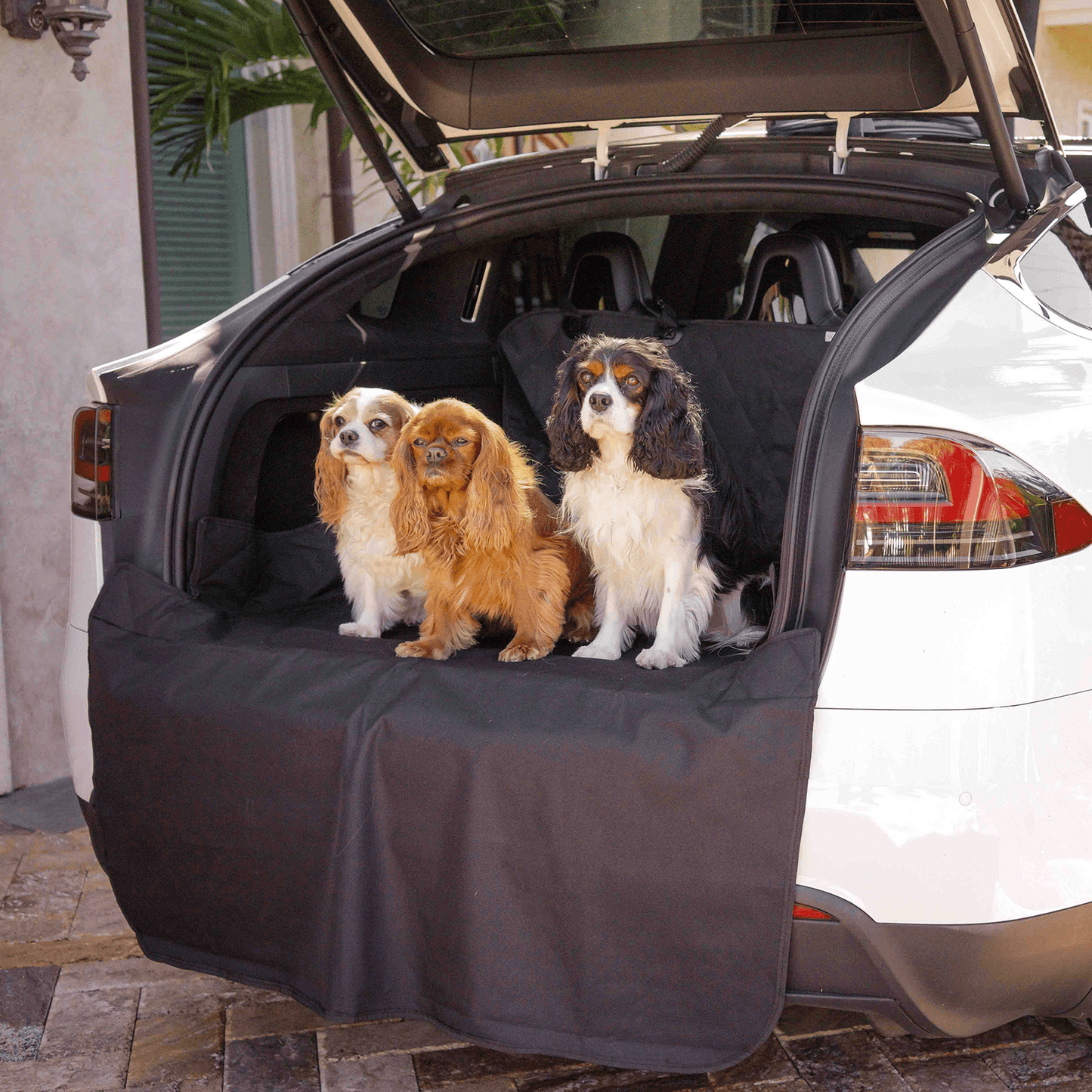 PupProtector™ Cargo Cover Liner for SUVs and Cars Travel Paw.com