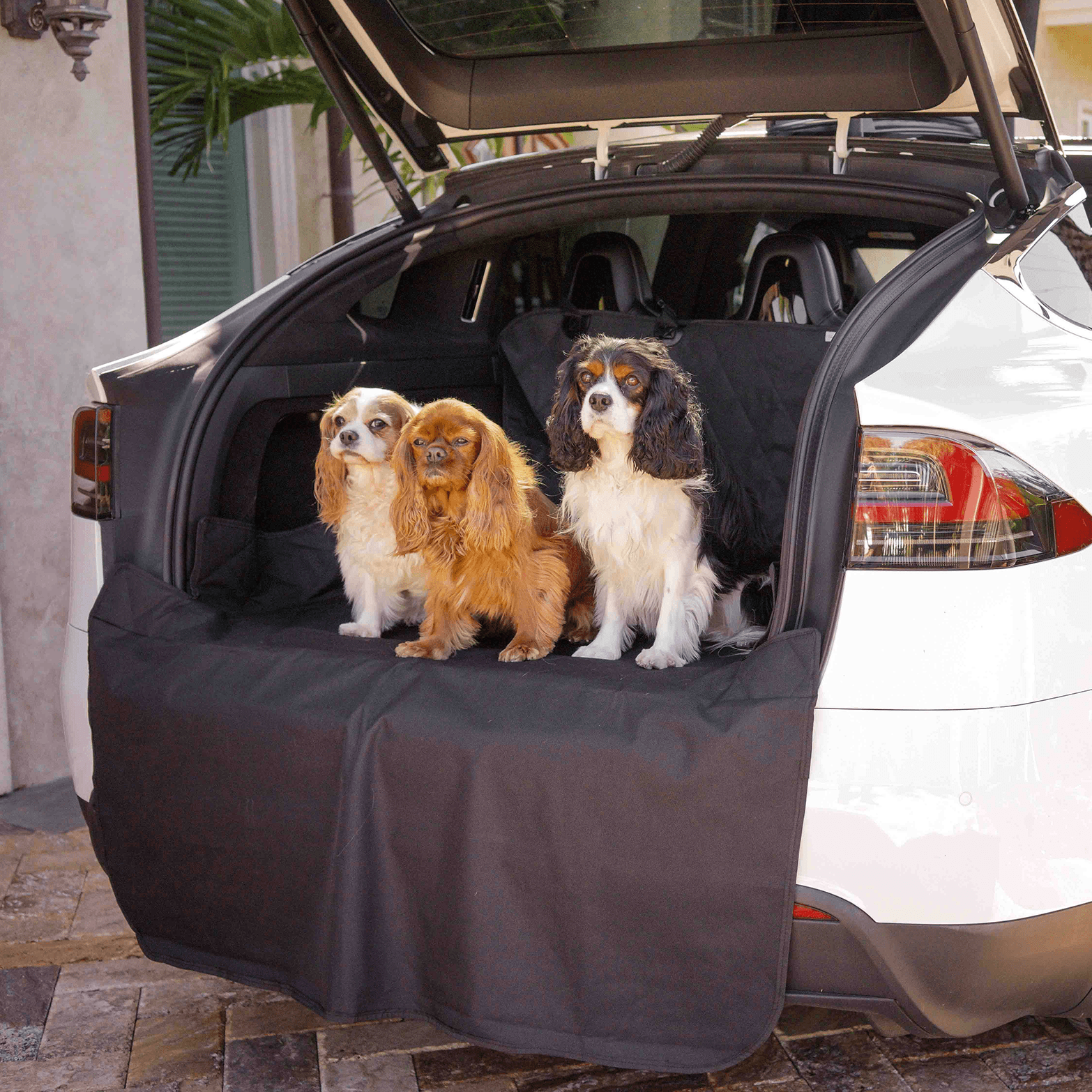 PupProtector™ Cargo Cover Liner for SUVs and Cars Travel Paw.com