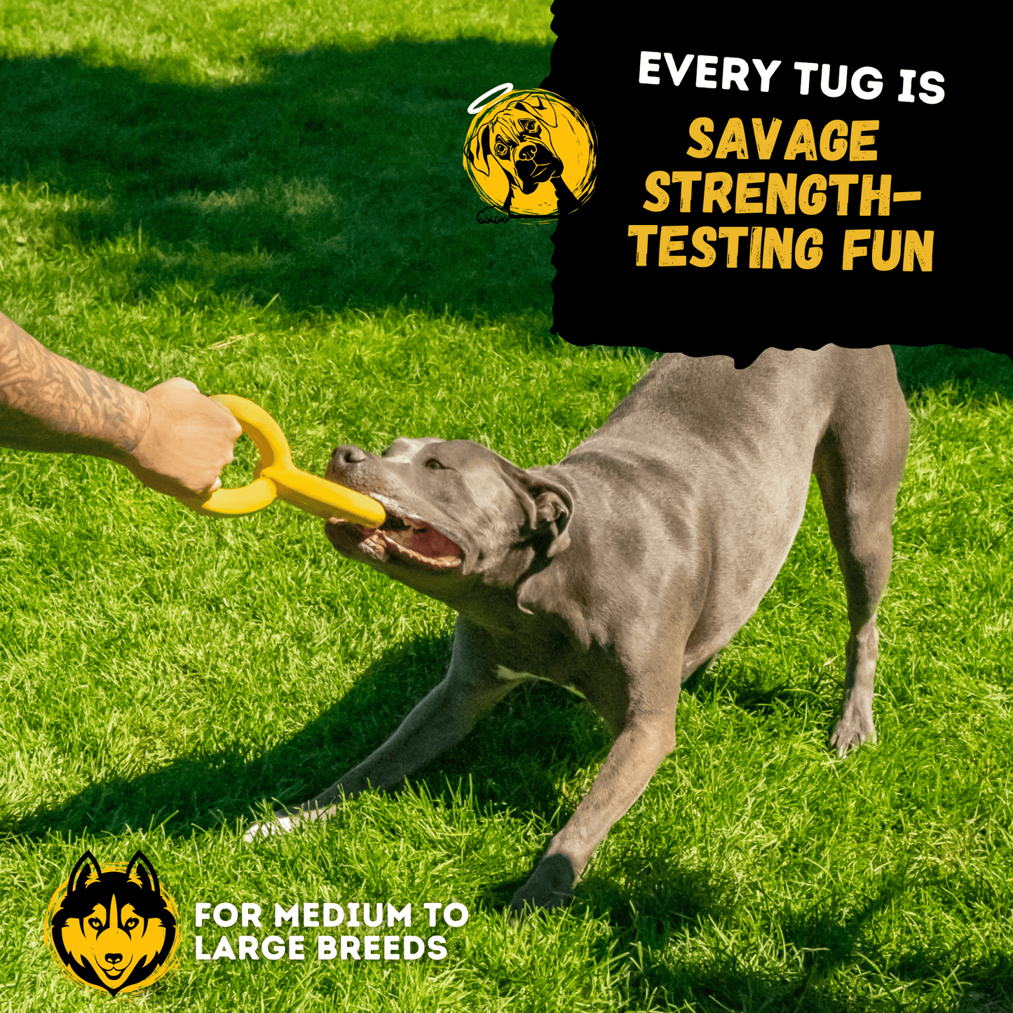 Tug Chain™ Monster K9 Dog Toys