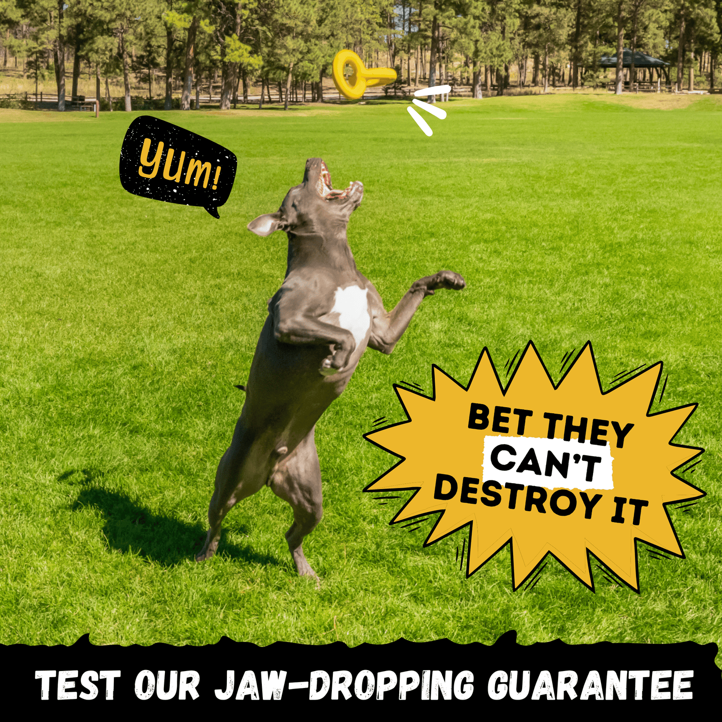 Tug Chain™ Monster K9 Dog Toys