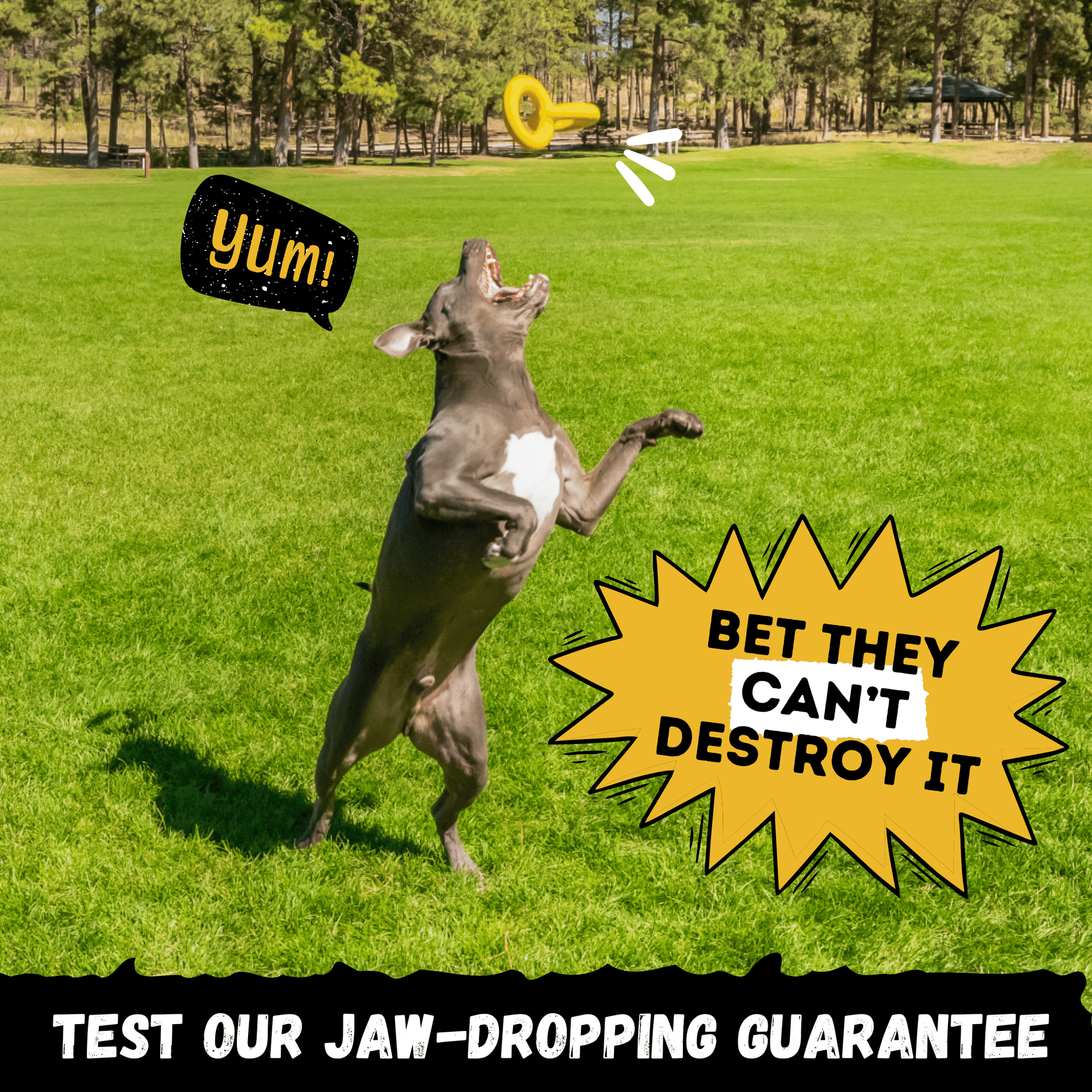 Tug Chain™ Monster K9 Dog Toys