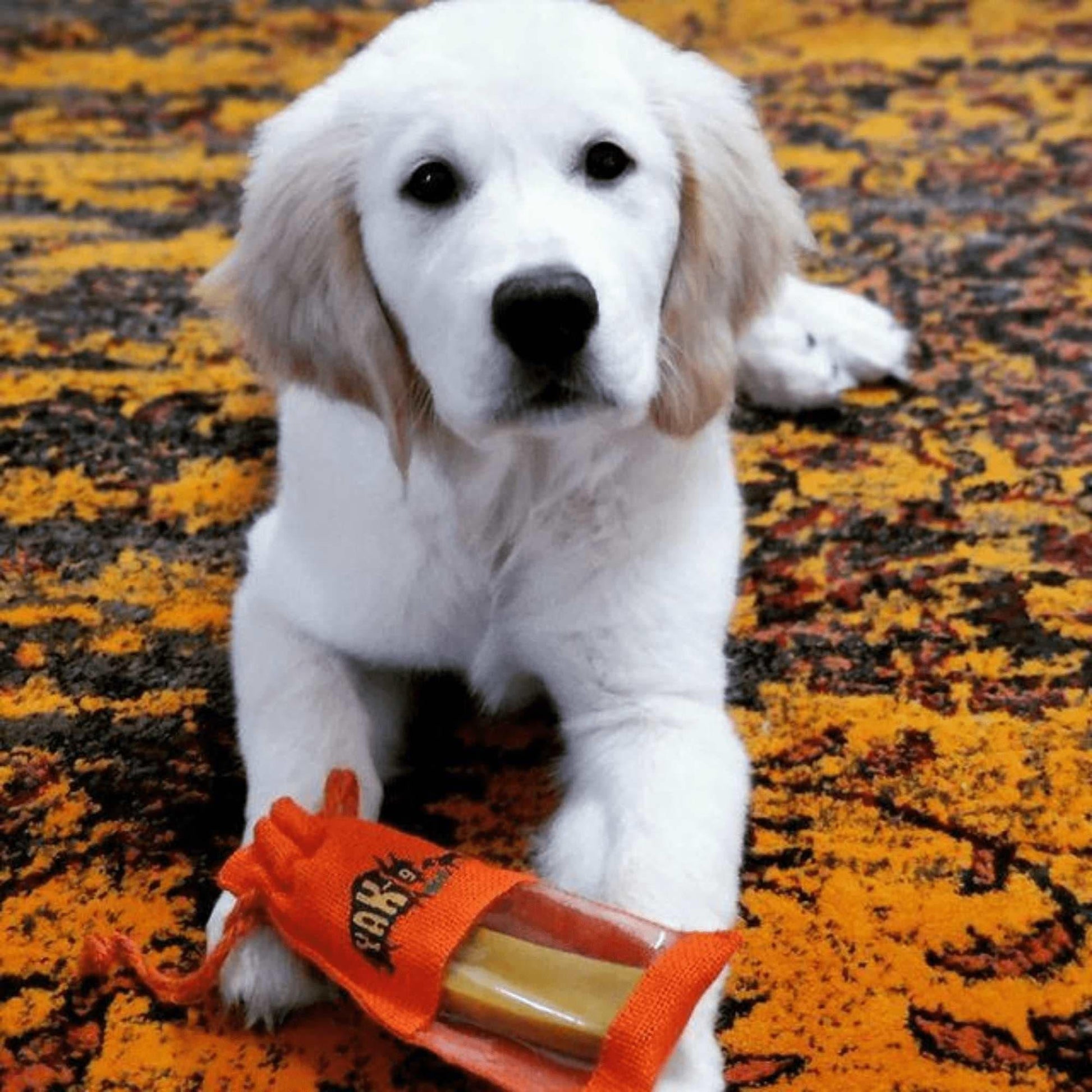 Turmeric Cheese Chews for Dogs TURMERIC YAK CHEWS Yak9 Chews