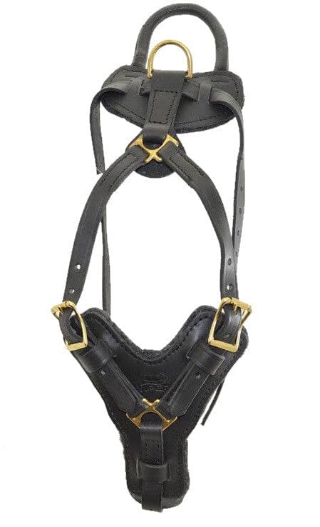 Viper Typhoon Leather Working Dog Harness Harnesses Dogline