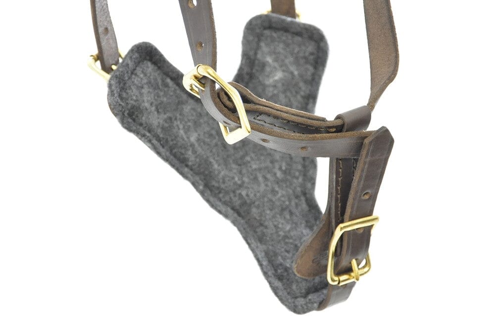 Viper Typhoon Leather Working Dog Harness Harnesses Dogline