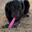 Unicorn Horn Nylon Dog Chew Toy | Durable for Aggressive Chewers | SodaPup Nylon Dog Toys SodaPup/True Dogs, LLC