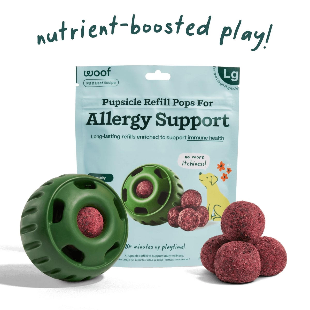 Woof Pupsicle Pops Allergy & Immunity Wellness Pops Dog Treats Woof Pet