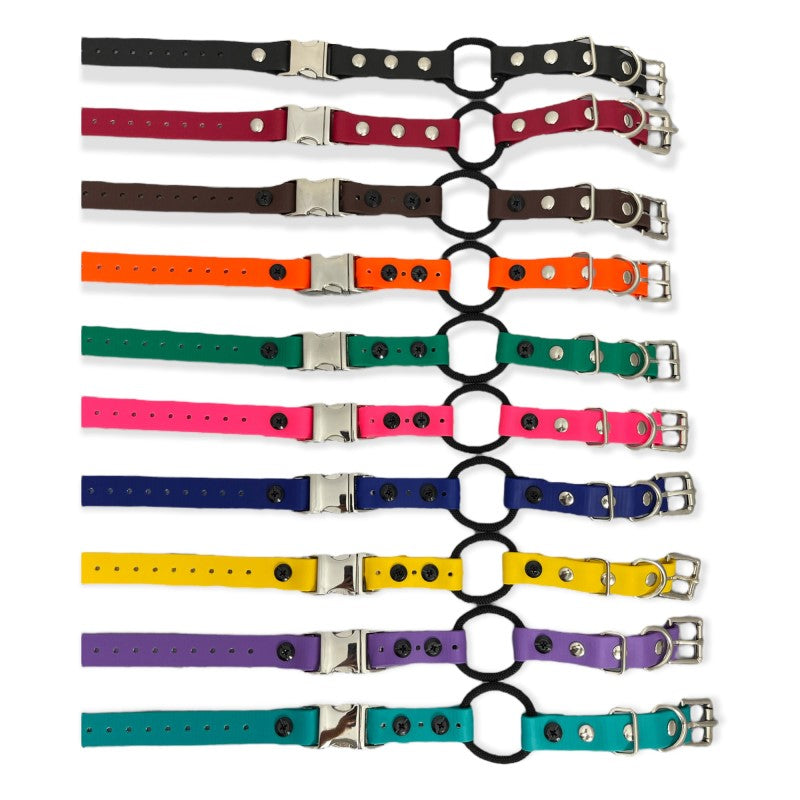 3/4" Biothane Quick-Snap with Bungee Collar E-collar Technologies Dog Collar E-Collar Technologies