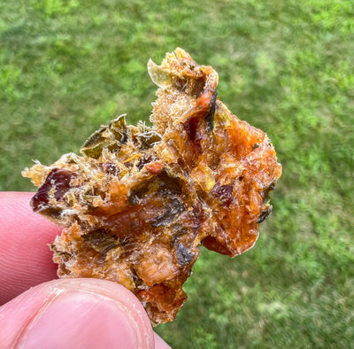 Turkey Dinner Turkey Jerky for Dogs and Cats Turkey Chief’s Treats and Pet Supplies